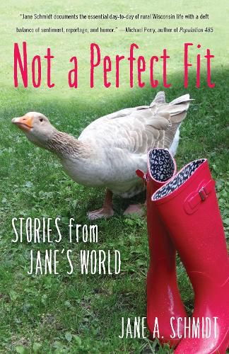 Cover image for Not a Perfect Fit: Stories from Jane's World