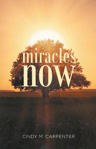 Cover image for Miracles Now