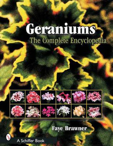 Cover image for Geraniums: The Complete Encyclopedia