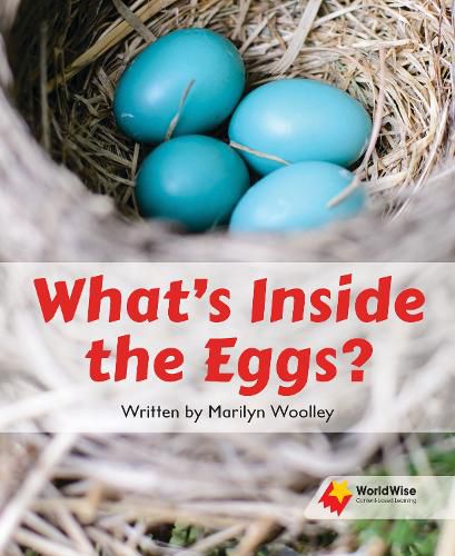 Cover image for What's Inside the Eggs?