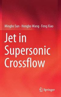 Cover image for Jet in Supersonic Crossflow