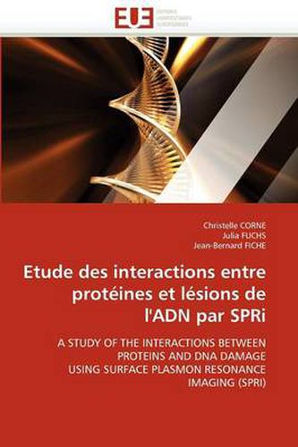 Cover image for Etude Des Interactions Entre Protines Et Lsions de L'Adn Par Spri