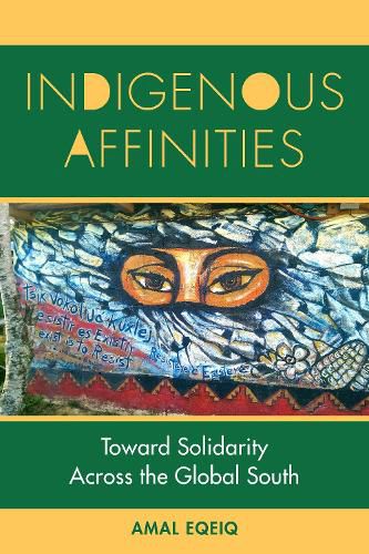 Cover image for Indigenous Affinities