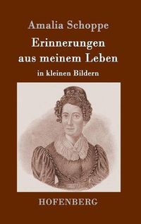 Cover image for Erinnerungen aus meinem Leben: in kleinen Bildern