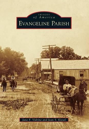 Cover image for Evangeline Parish