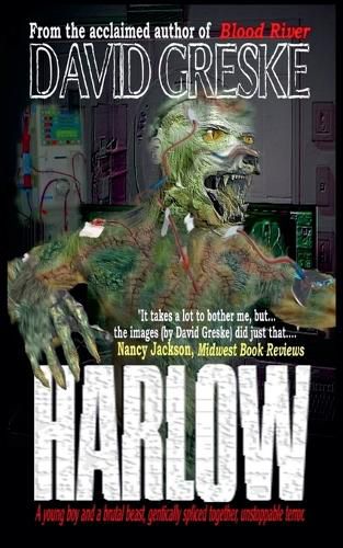 Cover image for Harlow