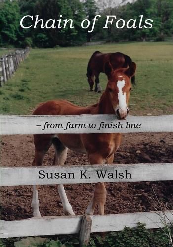 Cover image for Chain of Foals: from farm to finish line