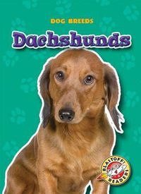 Cover image for Dachshunds