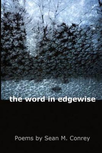 Cover image for The Word in Edgewise