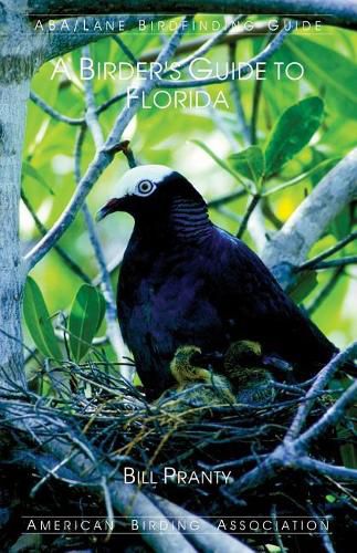 Cover image for A Birder's Guide to Florida