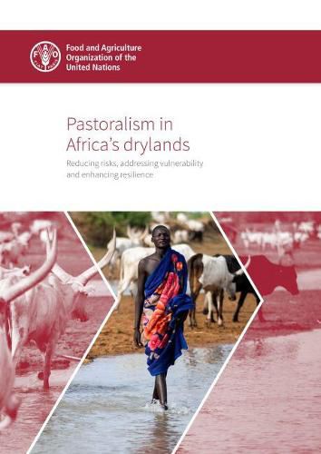 Pastoralism in Africa's drylands: reducing risks, addressing vulnerability and enhancing resilience