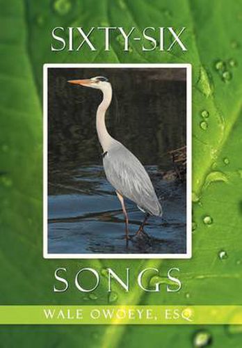 Cover image for Sixty-Six Songs