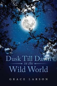 Cover image for Dusk Till Dawn In The Wild World