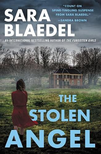Cover image for The Stolen Angel