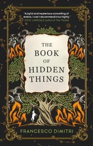 Cover image for The Book of Hidden Things