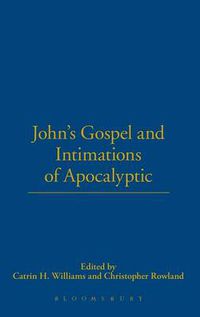 Cover image for John's Gospel and Intimations of Apocalyptic