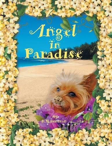 Cover image for Angel in Paradise