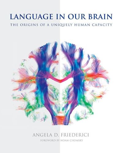 Cover image for Language in Our Brain: The Origins of a Uniquely Human Capacity