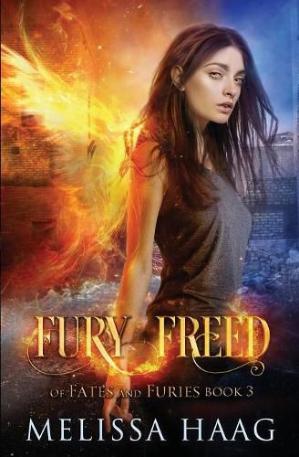 Cover image for Fury Freed