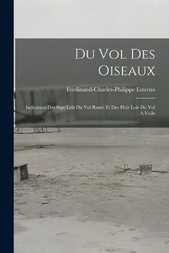 Cover image for Du Vol Des Oiseaux