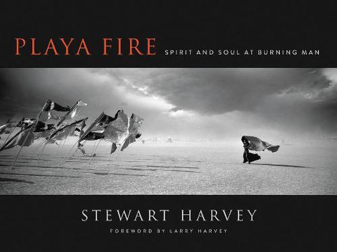 Cover image for Playa Fire: Spirit and Soul at Burning Man