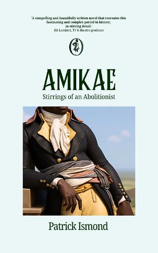 Cover image for Amikae