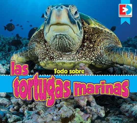 Cover image for Todo Sobre Las Tortugas Marinas