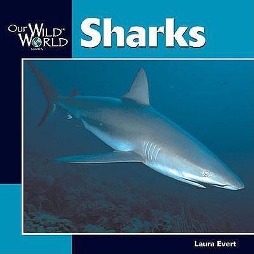 Cover image for Sharks