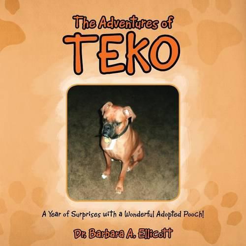 Cover image for The Adventures of Teko: A Year of Surprises with a Wonderful Adopted Pooch!