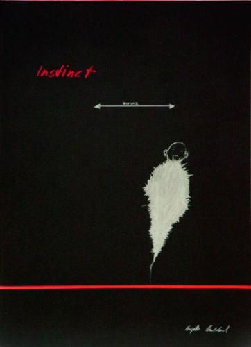 Cover image for Brigitte Waldach: Instinct
