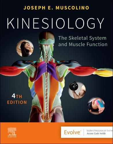 Cover image for Kinesiology: The Skeletal System and Muscle Function