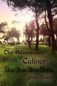 Cover image for The Adventures of Calinor / The Lost Pixie Tribe