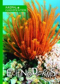 Cover image for Echinoderms