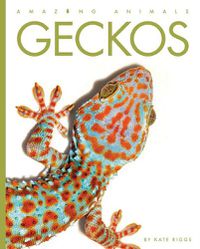 Cover image for Geckos