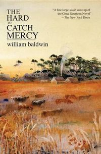 Cover image for The Hard to Catch Mercy