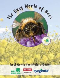 Cover image for The Busy World of Bees: First Grade Facilitators Guide