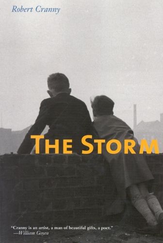 Cover image for The Storm