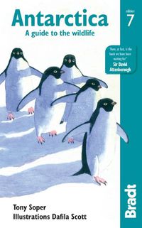 Cover image for Antarctica: A Guide to the Wildlife