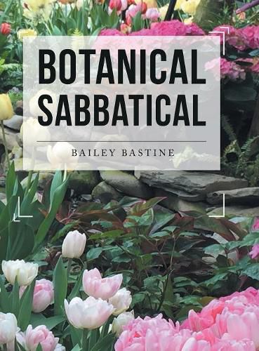 Cover image for Botanical Sabbatical