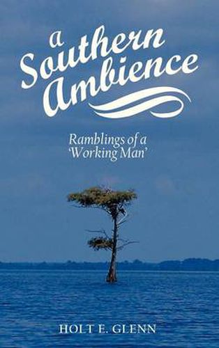 Cover image for A Southern Ambience