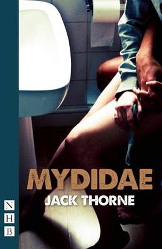 Cover image for Mydidae