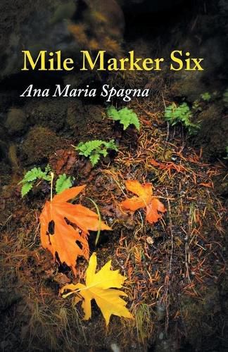 Cover image for Mile Marker Six