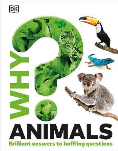 Cover image for Why? Animals