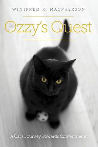 Cover image for Ozzy's Quest: A Cat's Journey Towards Contentment