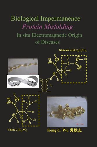 Cover image for Biological Impermanence - Protein Misfolding