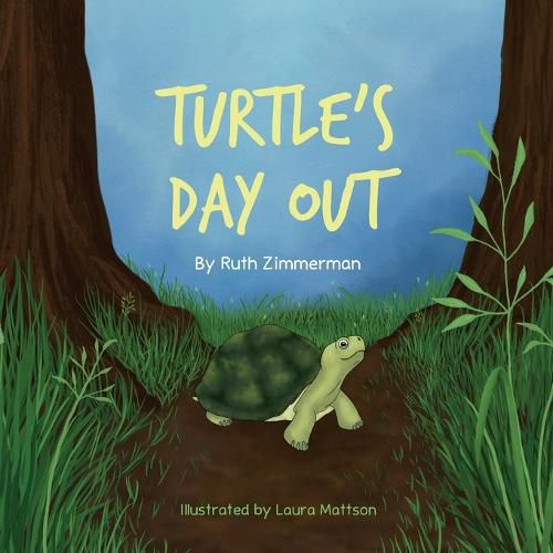 Cover image for Turtle's Day Out