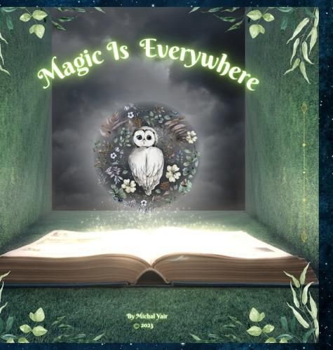 Cover image for Magic Is Everywhere