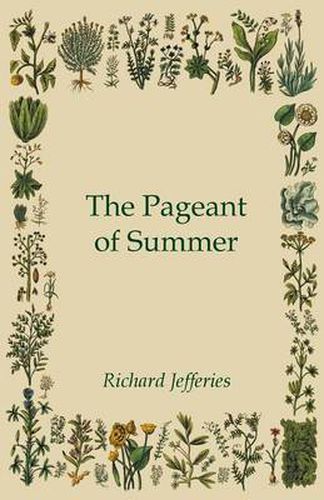 Cover image for The Pageant of Summer