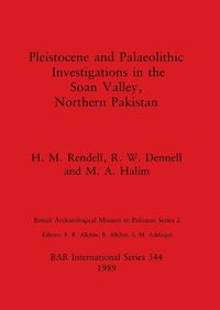 Cover image for Pleistocene and Palaeolithic Investigations in the Soan Valley, Northern Pakistan