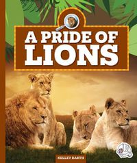 Cover image for A Pride of Lions